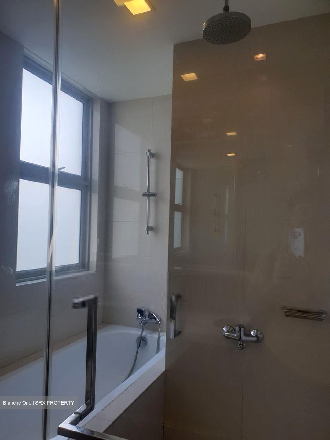 Nassim Regency (D10), Condominium #509218691